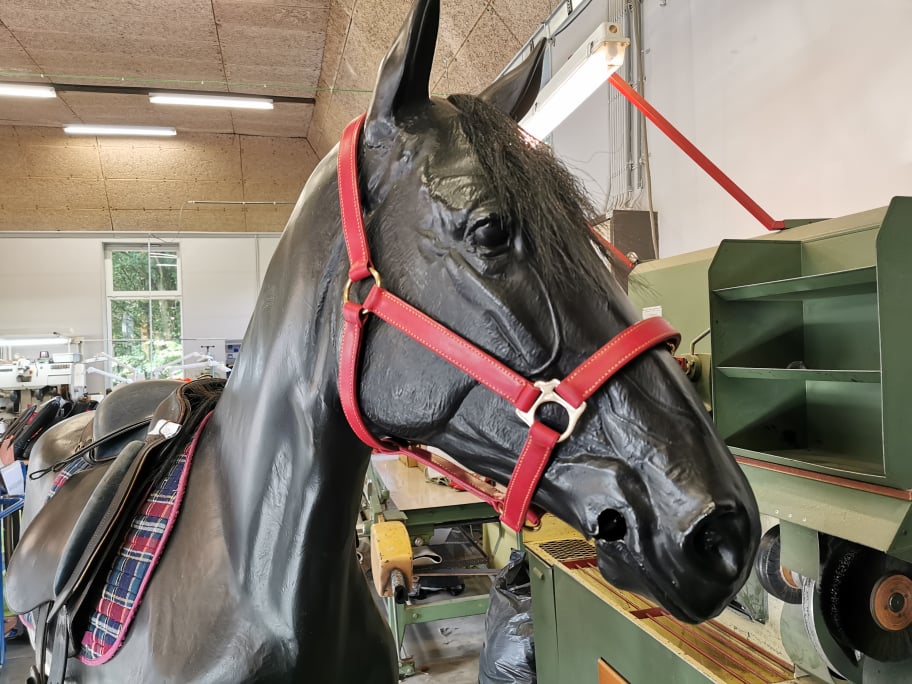 245491496_2791367414488791_1796904136577890174_n